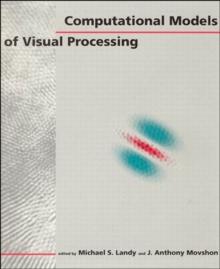 Computational Models of Visual Processing