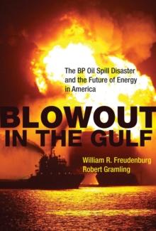 Blowout in the Gulf