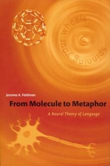 From Molecule to Metaphor