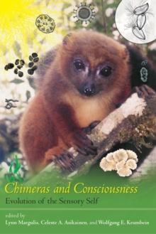 Chimeras and Consciousness : Evolution of the Sensory Self