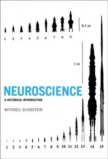 Neuroscience : A Historical Introduction