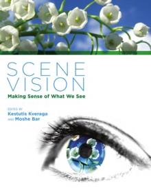 Scene Vision : Making Sense of What We See