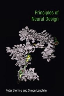 Principles of Neural Design