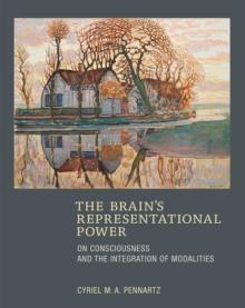 Brain's Representational Power