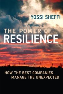 The Power of Resilience : How the Best Companies Manage the Unexpected