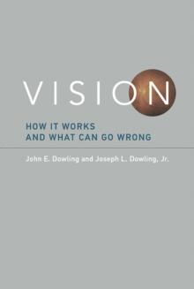 Vision : How It Works and What Can Go Wrong