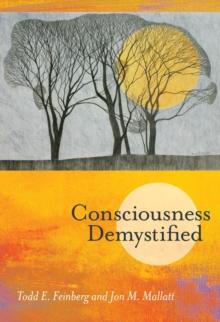 Consciousness Demystified