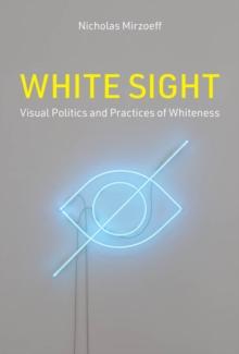 White Sight : Visual Politics and Practices of Whiteness