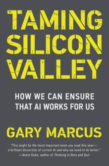 Taming Silicon Valley : How We Can Ensure That AI Works for Us