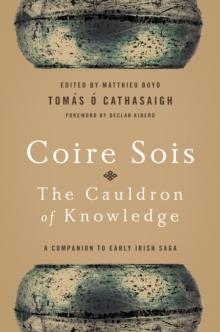 Coire Sois, The Cauldron of Knowledge : A Companion to Early Irish Saga