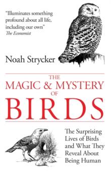 The Magic & Mystery of Birds : The Surprising Lives of Birds and What They Reveal About Being Human