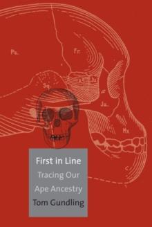 First in Line : Tracing Our Ape Ancestry