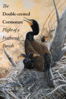 The Double-Crested Cormorant : Plight of a Feathered Pariah