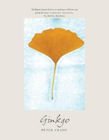 Ginkgo : The Tree That Time Forgot