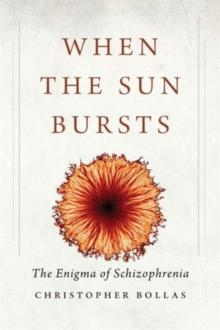 When The Sun Bursts : The Enigma Of Schizophrenia