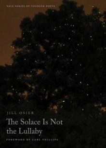 The Solace Is Not the Lullaby