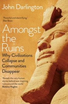 Amongst the Ruins : Why Civilizations Collapse and Communities Disappear