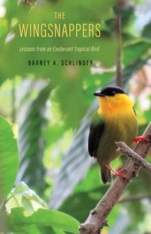 The Wingsnappers : Lessons from an Exuberant Tropical Bird