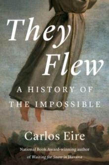 They Flew : A History Of The Impossible