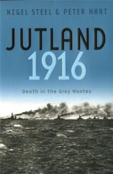 Jutland, 1916 : Death in the Grey Wastes