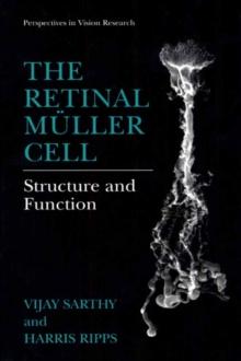 The Retinal Muller Cell : Structure and Function