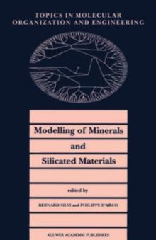 Modelling of Minerals and Silicated Materials