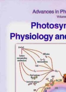 Photosynthesis: Physiology and Metabolism