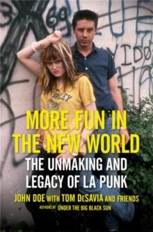 More Fun in the New World : The Unmaking and Legacy of L.A. Punk