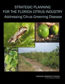 Strategic Planning for the Florida Citrus Industry : Addressing Citrus Greening Disease