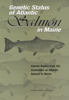 Genetic Status of Atlantic Salmon in Maine : Interim Report from the Committee on Atlantic Salmon in Maine