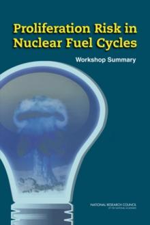 Proliferation Risk in Nuclear Fuel Cycles : Workshop Summary