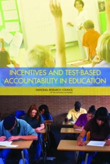 Incentives and Test-Based Accountability in Education