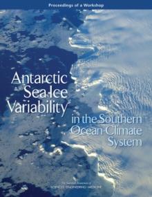 Antarctic Sea Ice Variability in the Southern Ocean-Climate System : Proceedings of a Workshop