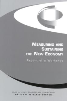 Measuring and Sustaining the New Economy : Report of a Workshop