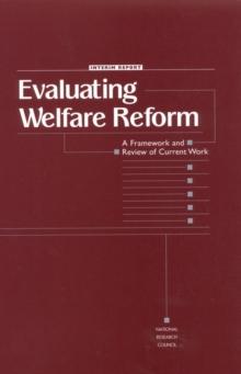 Evaluating Welfare Reform : A Framework and Review of Current Work, Interim Report