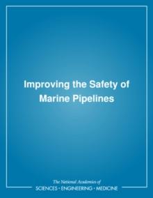 Improving the Safety of Marine Pipelines