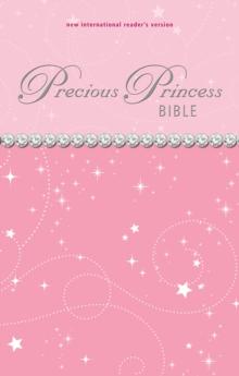 NIrV, Precious Princess Bible