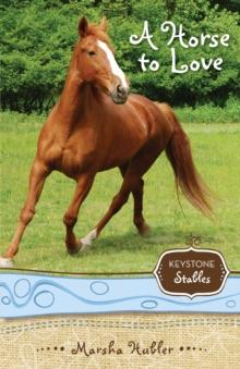 A Horse to Love