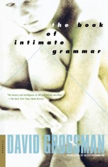 The Book of Intimate Grammar : A Novel