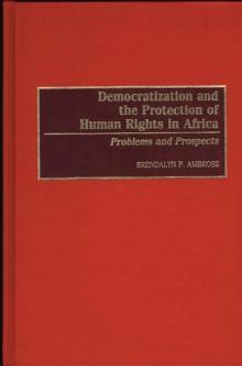 Democratization and the Protection of Human Rights in Africa : Problems and Prospects