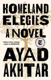 Homeland Elegies : A Novel