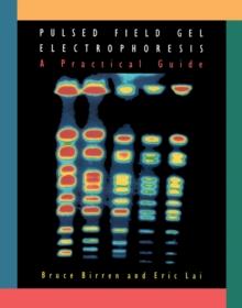 Pulsed Field Gel Electrophoresis : A Practical Guide