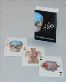 Netter Playing Cards : Netter's Anatomy Art Card Deck (Single Pack)