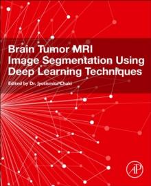 Brain Tumor MRI Image Segmentation Using Deep Learning Techniques