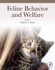 Feline Behavior and Welfare