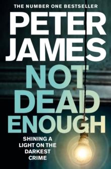 Not Dead Enough : A Chilling Serial Killer Thriller