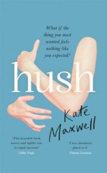 Hush : The heartbreaking and life-affirming debut novel which tells the truth about motherhood