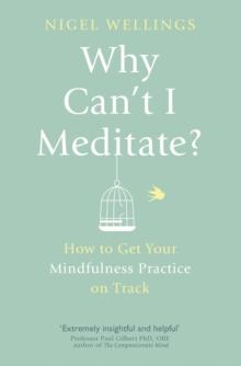 Why Can't I Meditate? : how to get your mindfulness practice on track