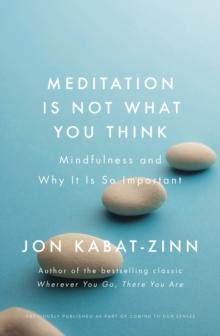 Meditation is Not What You Think : Mindfulness and Why It Is So Important