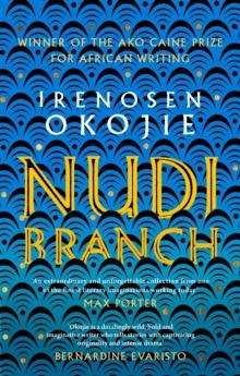 Nudibranch : A stunning new collection of short stories from the award-winning author of Butterfly Fish